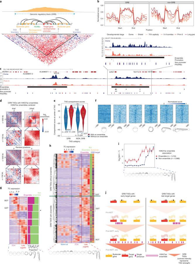 https://cdn.ncbi.nlm.nih.gov/pmc/blobs/a43a/9279159/a076f31575e1/41588_2022_1089_Fig7_HTML.jpg