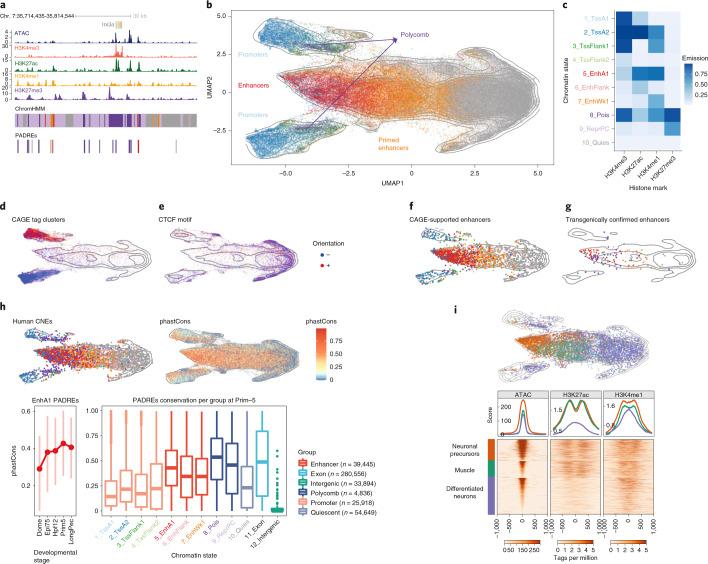 https://cdn.ncbi.nlm.nih.gov/pmc/blobs/a43a/9279159/c14c310db1d2/41588_2022_1089_Fig4_HTML.jpg