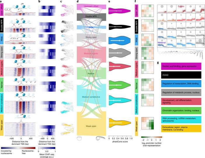 https://cdn.ncbi.nlm.nih.gov/pmc/blobs/a43a/9279159/d28bf1062534/41588_2022_1089_Fig6_HTML.jpg