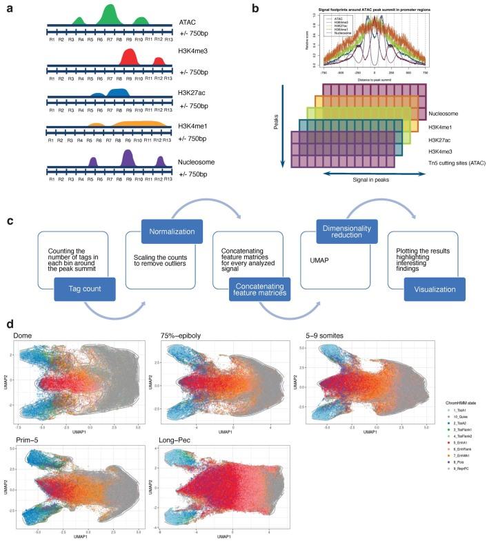 https://cdn.ncbi.nlm.nih.gov/pmc/blobs/a43a/9279159/fbb4318c8f0b/41588_2022_1089_Fig14_ESM.jpg