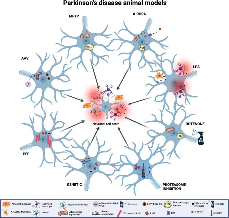 https://cdn.ncbi.nlm.nih.gov/pmc/blobs/a43b/10286593/5cb84f88f0e4/CN-21-1241_F3.jpg