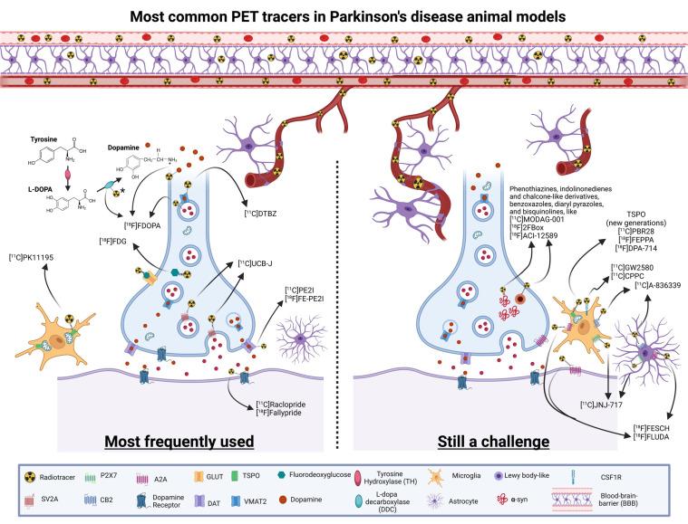 https://cdn.ncbi.nlm.nih.gov/pmc/blobs/a43b/10286593/ba3f4a243b23/CN-21-1241_F2.jpg