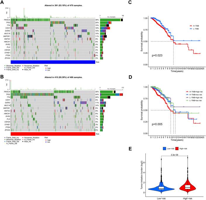https://cdn.ncbi.nlm.nih.gov/pmc/blobs/a43c/9868634/1d503307e202/fphar-13-1115608-g008.jpg