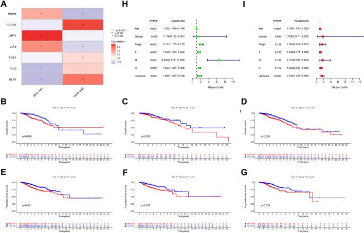 https://cdn.ncbi.nlm.nih.gov/pmc/blobs/a43c/9868634/61a95daefd3d/fphar-13-1115608-g003.jpg