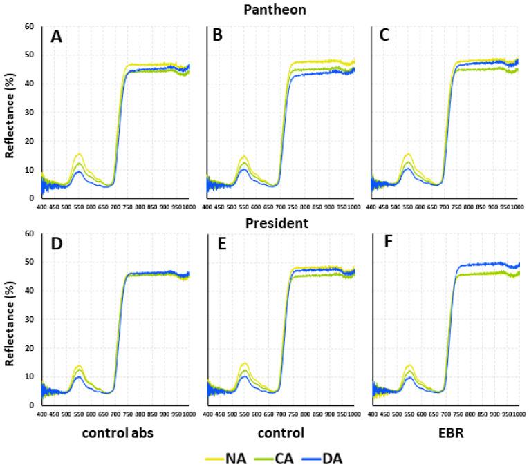 https://cdn.ncbi.nlm.nih.gov/pmc/blobs/a43d/11172585/abd7f3e56c97/ijms-25-06010-g005.jpg