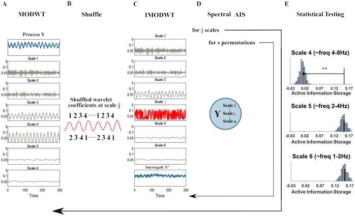 https://cdn.ncbi.nlm.nih.gov/pmc/blobs/a43e/9904504/6a551fc9bbac/pcbi.1010380.g001.jpg