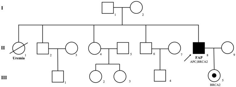 https://cdn.ncbi.nlm.nih.gov/pmc/blobs/a442/11843810/c45d0c035227/13053_2025_306_Fig1_HTML.jpg