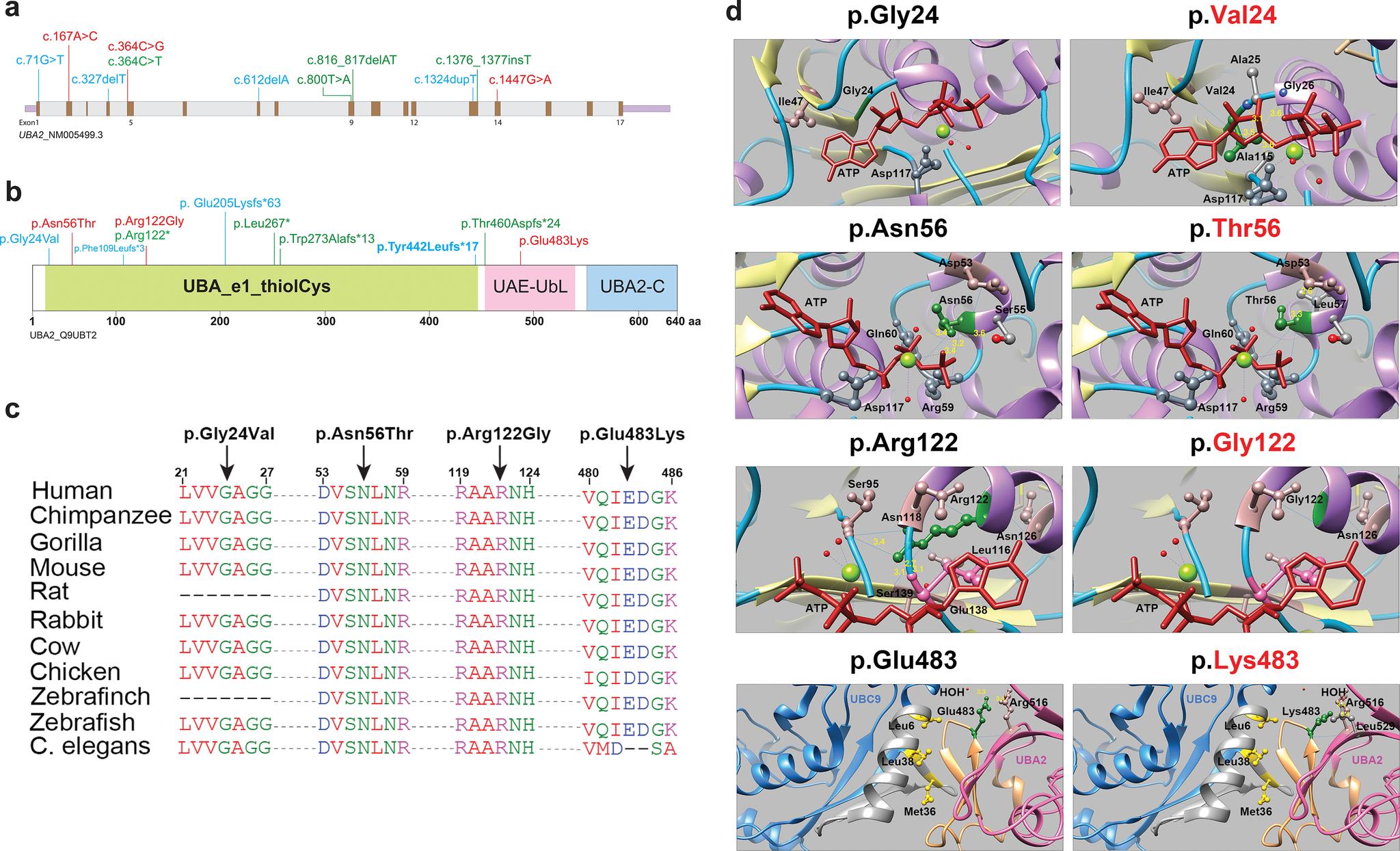 https://cdn.ncbi.nlm.nih.gov/pmc/blobs/a442/8463496/110cf7981ab0/nihms-1717832-f0002.jpg