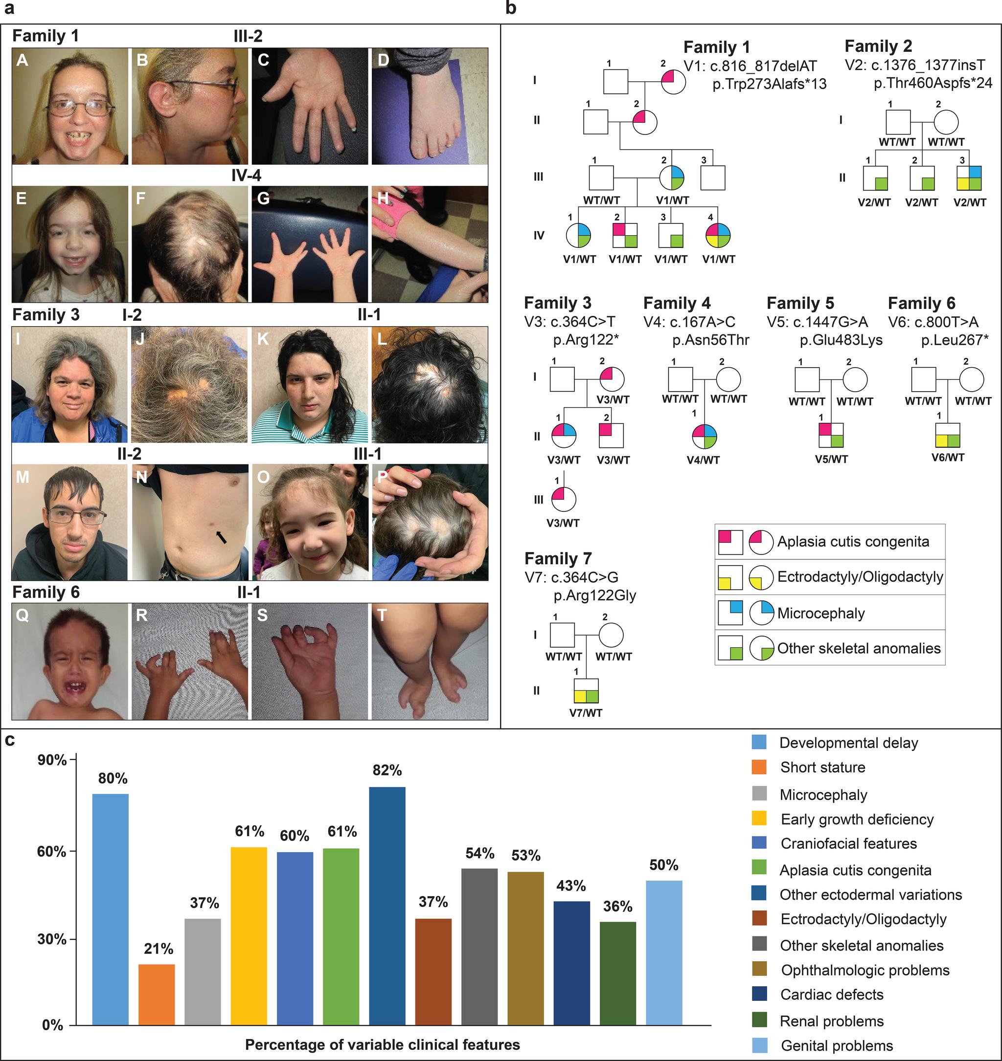 https://cdn.ncbi.nlm.nih.gov/pmc/blobs/a442/8463496/75301a8aa73c/nihms-1717832-f0001.jpg