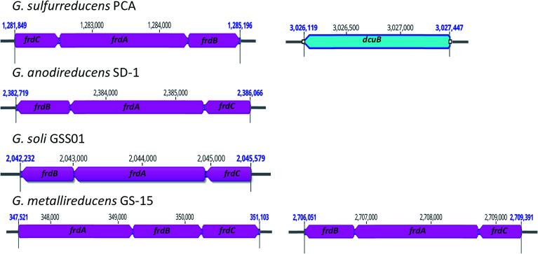 https://cdn.ncbi.nlm.nih.gov/pmc/blobs/a443/9070056/71315460c250/c9ra02343g-f2.jpg