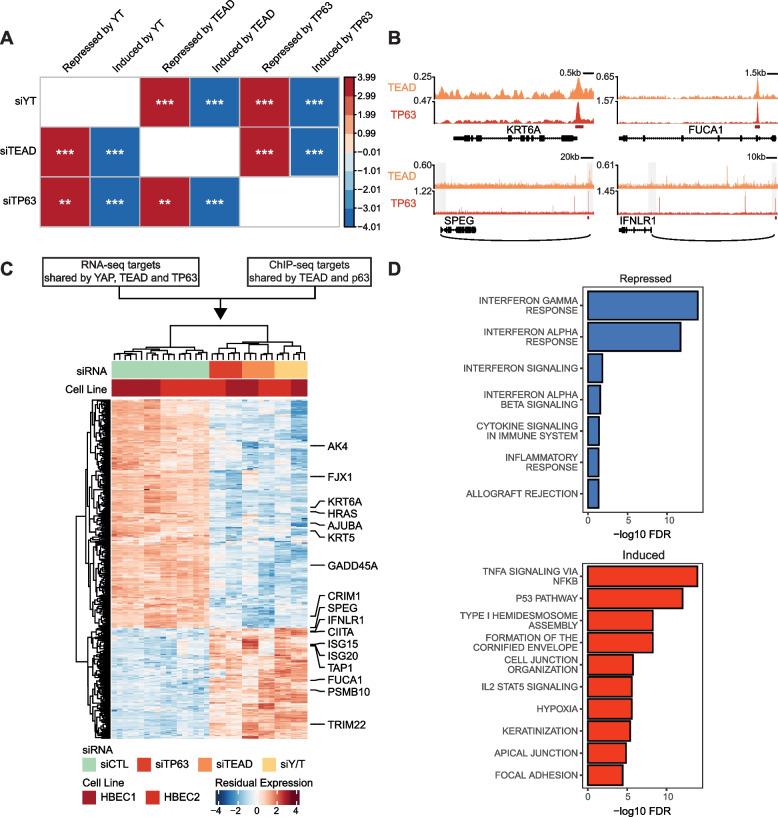 https://cdn.ncbi.nlm.nih.gov/pmc/blobs/a444/10165825/384628f106d5/13046_2023_2674_Fig3_HTML.jpg