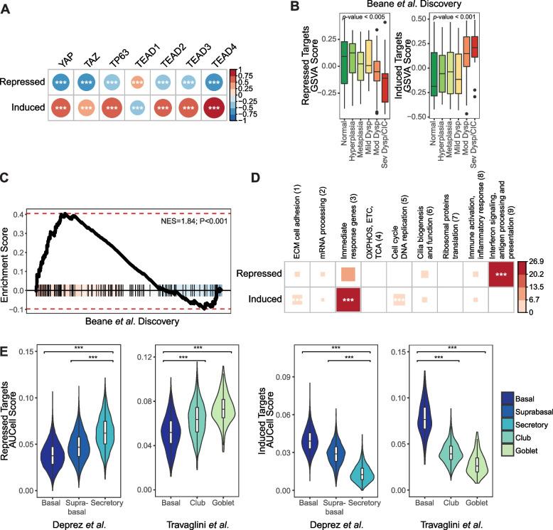 https://cdn.ncbi.nlm.nih.gov/pmc/blobs/a444/10165825/510429868e1b/13046_2023_2674_Fig4_HTML.jpg
