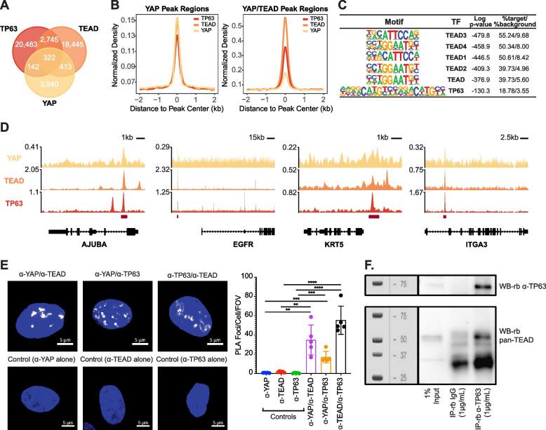 https://cdn.ncbi.nlm.nih.gov/pmc/blobs/a444/10165825/ce6aef6cca52/13046_2023_2674_Fig2_HTML.jpg