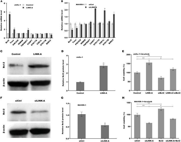https://cdn.ncbi.nlm.nih.gov/pmc/blobs/a444/8686732/b457caf7271c/peerj-09-12571-g003.jpg