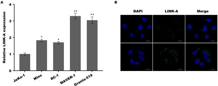 https://cdn.ncbi.nlm.nih.gov/pmc/blobs/a444/8686732/d950272364c5/peerj-09-12571-g001.jpg