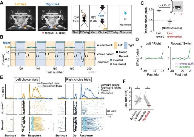 https://cdn.ncbi.nlm.nih.gov/pmc/blobs/a445/8328202/244b959b1923/bhab091f1.jpg