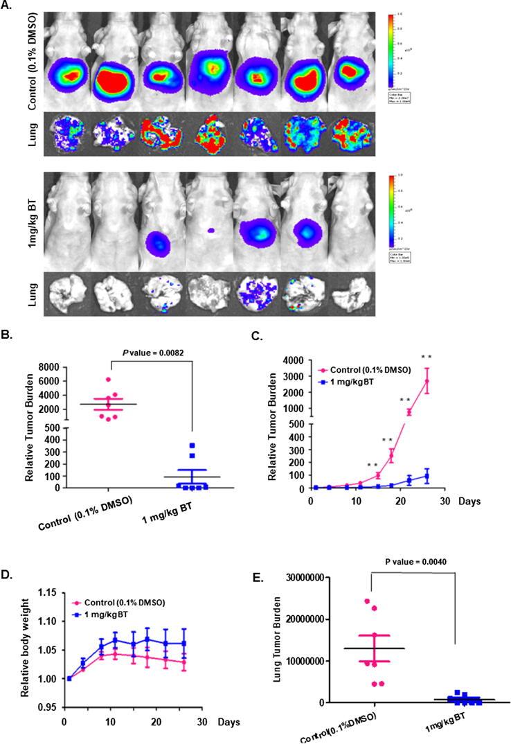 https://cdn.ncbi.nlm.nih.gov/pmc/blobs/a446/7584682/2338f7e2a9d8/gr4.jpg