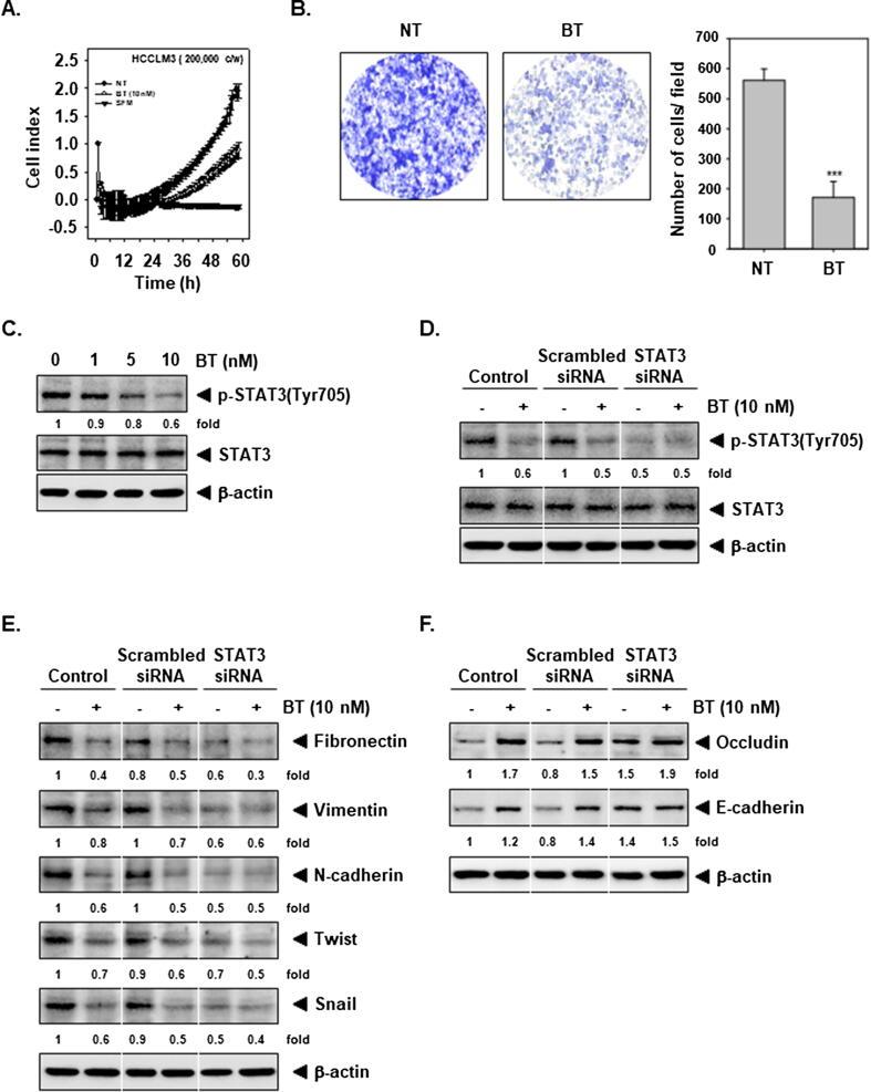 https://cdn.ncbi.nlm.nih.gov/pmc/blobs/a446/7584682/42b35ff89426/gr2.jpg