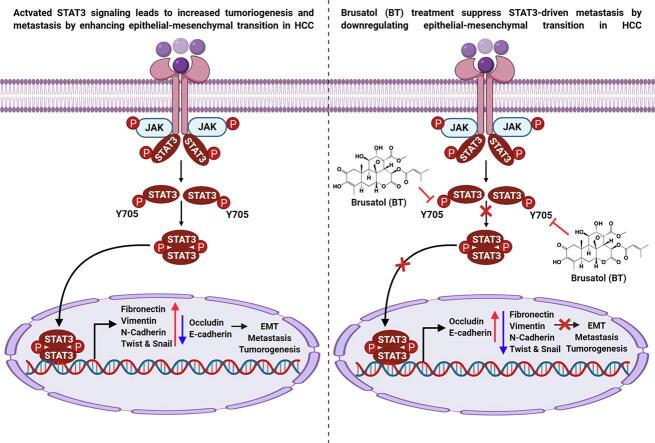 https://cdn.ncbi.nlm.nih.gov/pmc/blobs/a446/7584682/91b6c2e5ec1b/ga1.jpg
