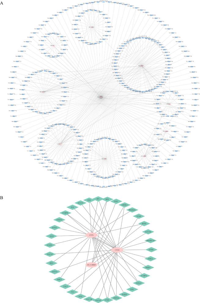https://cdn.ncbi.nlm.nih.gov/pmc/blobs/a448/12062498/c45b84d6984a/41598_2025_585_Fig7_HTML.jpg
