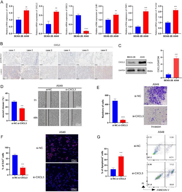 https://cdn.ncbi.nlm.nih.gov/pmc/blobs/a448/12062498/c51ad322d3a6/41598_2025_585_Fig5_HTML.jpg