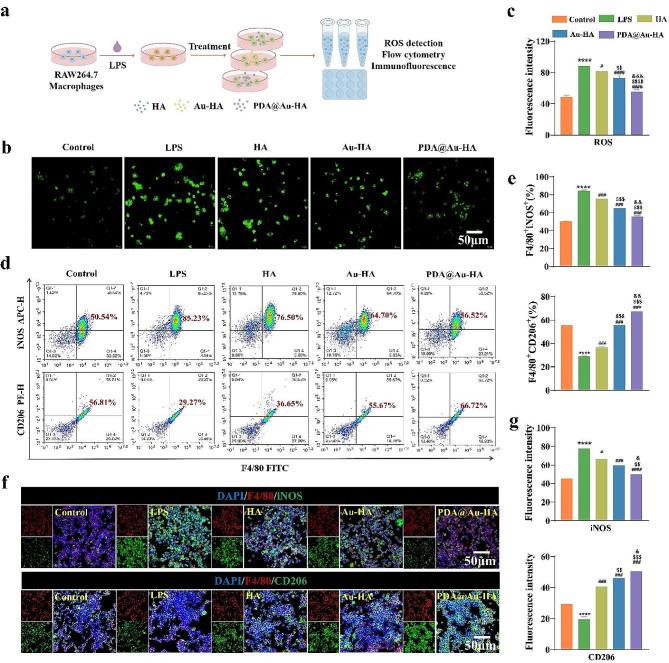 https://cdn.ncbi.nlm.nih.gov/pmc/blobs/a449/11162024/0466e2b44ac0/12951_2024_2593_Fig3_HTML.jpg