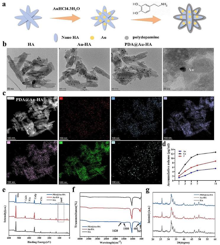 https://cdn.ncbi.nlm.nih.gov/pmc/blobs/a449/11162024/502302485261/12951_2024_2593_Fig1_HTML.jpg