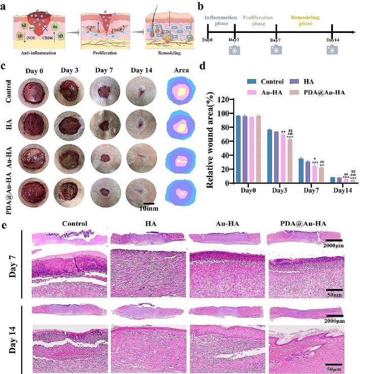 https://cdn.ncbi.nlm.nih.gov/pmc/blobs/a449/11162024/c80c3dce9f07/12951_2024_2593_Fig8_HTML.jpg