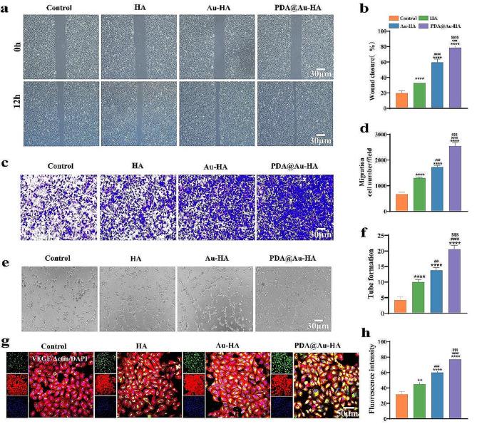 https://cdn.ncbi.nlm.nih.gov/pmc/blobs/a449/11162024/f3caa7745962/12951_2024_2593_Fig6_HTML.jpg