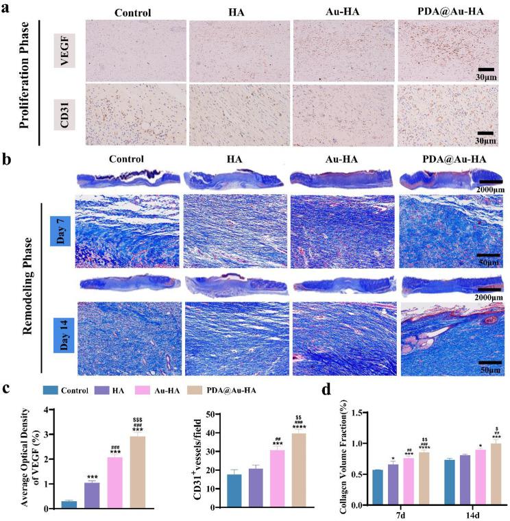 https://cdn.ncbi.nlm.nih.gov/pmc/blobs/a449/11162024/fb6090ce81cf/12951_2024_2593_Fig10_HTML.jpg