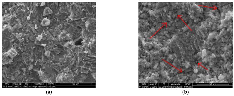 https://cdn.ncbi.nlm.nih.gov/pmc/blobs/a449/8585431/5e53413b7ae8/materials-14-06331-g013.jpg
