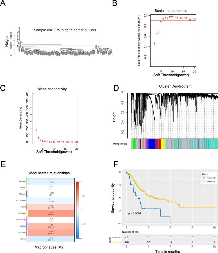 https://cdn.ncbi.nlm.nih.gov/pmc/blobs/a44d/11977558/3166cb606198/ITT-14-383-g0004.jpg