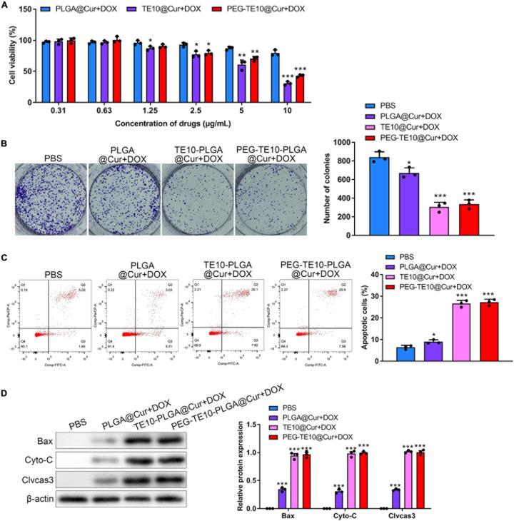 https://cdn.ncbi.nlm.nih.gov/pmc/blobs/a44d/8353447/eb3ed3203da6/fcell-09-688070-g003.jpg