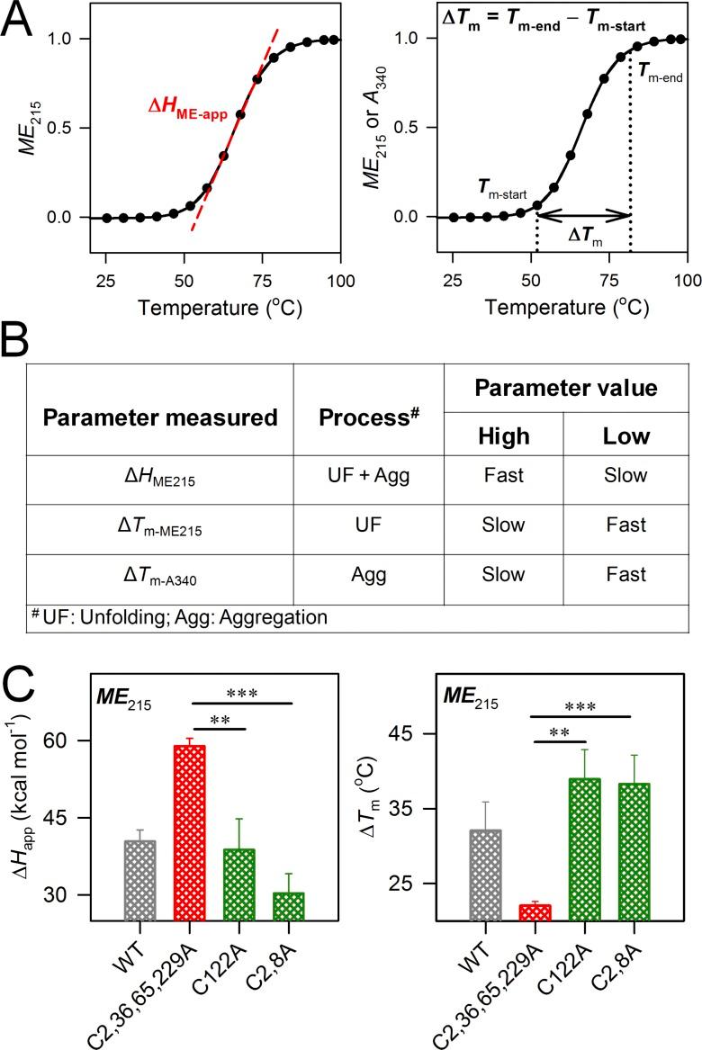 https://cdn.ncbi.nlm.nih.gov/pmc/blobs/a44f/6445588/867786222490/JGP_201812272_Fig8.jpg