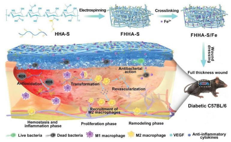 https://cdn.ncbi.nlm.nih.gov/pmc/blobs/a450/10138575/34896e4b15a3/ijms-24-07286-g004.jpg