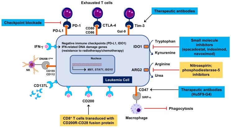 https://cdn.ncbi.nlm.nih.gov/pmc/blobs/a450/6316310/ecb7a20c861f/biomedicines-06-00110-g001.jpg