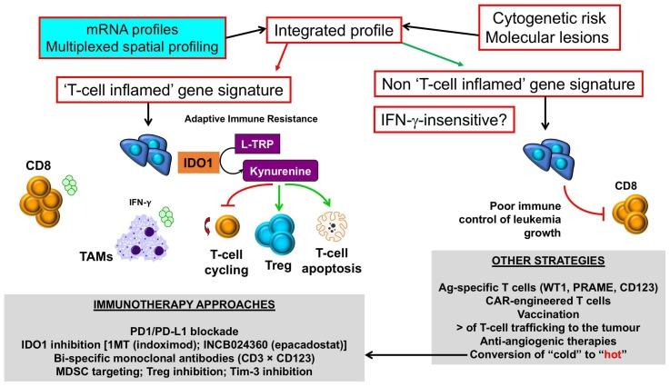 https://cdn.ncbi.nlm.nih.gov/pmc/blobs/a450/6316310/ef7f5ac18f24/biomedicines-06-00110-g003.jpg