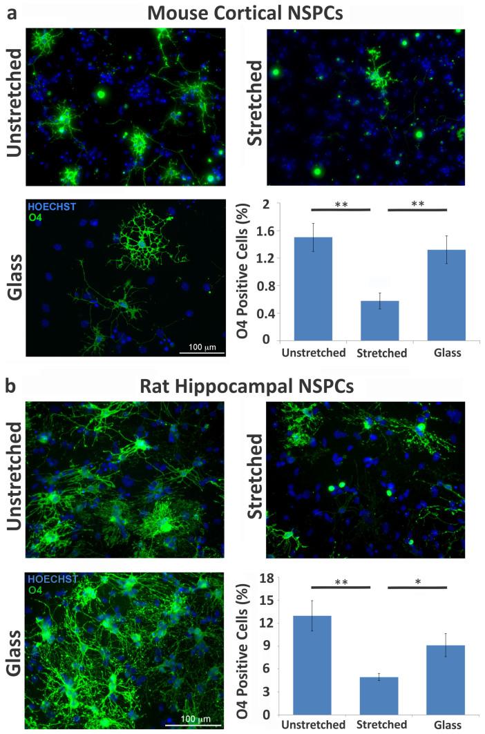 https://cdn.ncbi.nlm.nih.gov/pmc/blobs/a451/4330529/02478c70f609/srep08499-f3.jpg