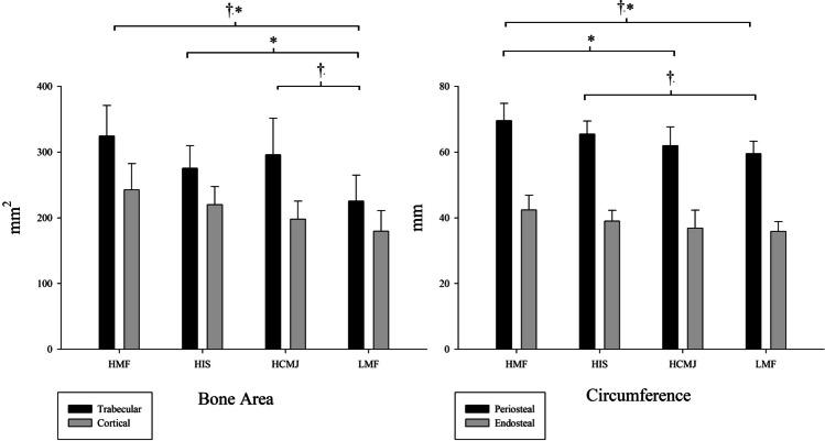 https://cdn.ncbi.nlm.nih.gov/pmc/blobs/a452/11164759/f2a7ce3f3464/11657_2024_1405_Fig4_HTML.jpg