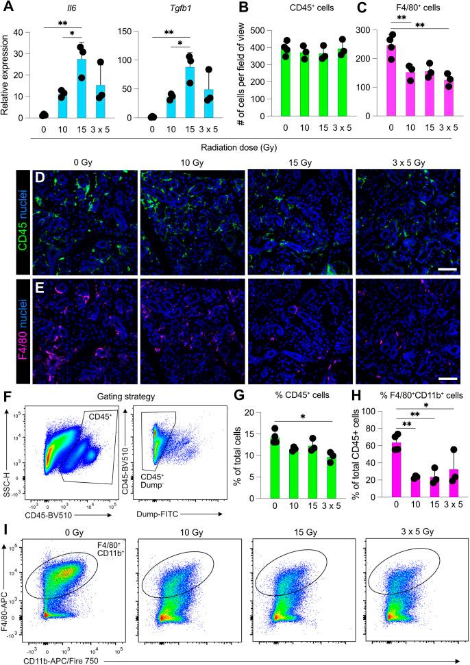 https://cdn.ncbi.nlm.nih.gov/pmc/blobs/a452/11361643/e9bd5fff0c4f/dmm-17-050733-g4.jpg