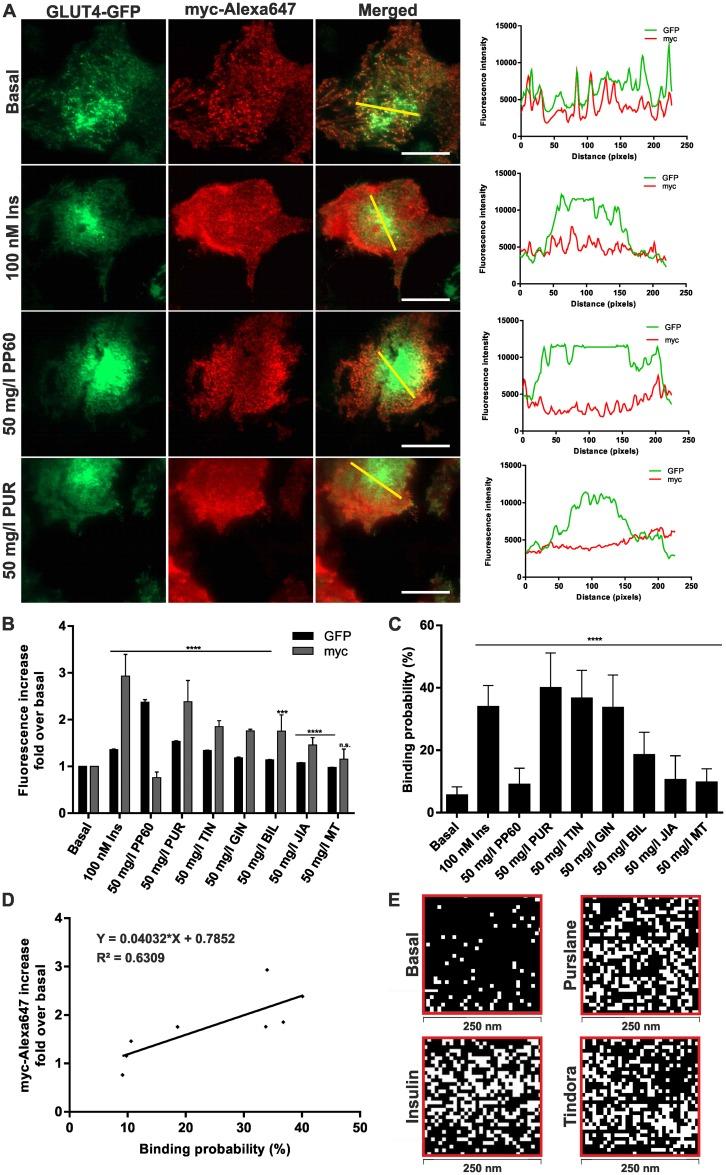 https://cdn.ncbi.nlm.nih.gov/pmc/blobs/a452/4731058/40a54a84b971/pone.0148109.g002.jpg