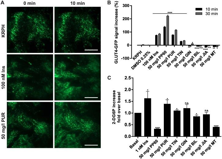 https://cdn.ncbi.nlm.nih.gov/pmc/blobs/a452/4731058/76c053c992d6/pone.0148109.g003.jpg