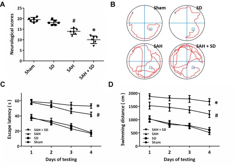 https://cdn.ncbi.nlm.nih.gov/pmc/blobs/a456/7880348/745346bec9fd/aging-13-202503-g002.jpg