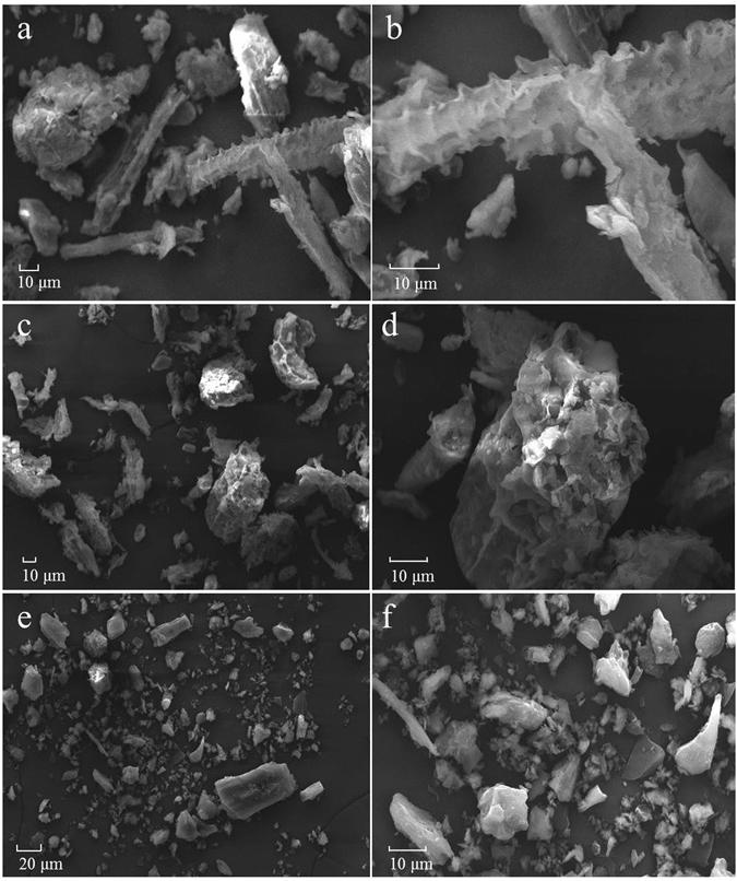 https://cdn.ncbi.nlm.nih.gov/pmc/blobs/a457/5442113/77e38f8a4b80/41598_2017_2353_Fig4_HTML.jpg