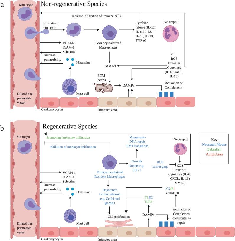 https://cdn.ncbi.nlm.nih.gov/pmc/blobs/a457/7884783/381e31e5bcd7/41536_2021_118_Fig1_HTML.jpg