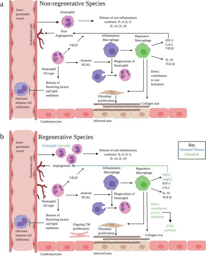 https://cdn.ncbi.nlm.nih.gov/pmc/blobs/a457/7884783/684e08ab1e35/41536_2021_118_Fig2_HTML.jpg