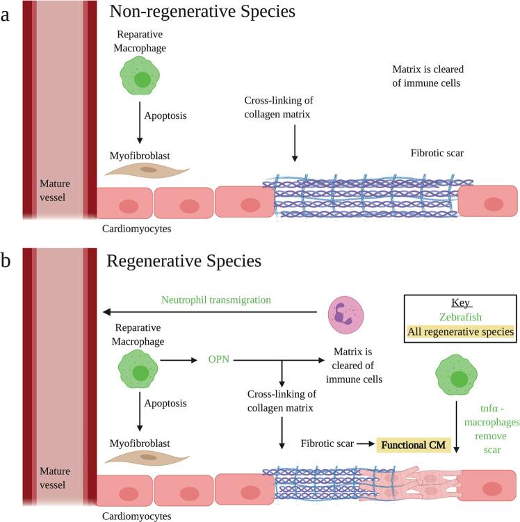 https://cdn.ncbi.nlm.nih.gov/pmc/blobs/a457/7884783/847b41cb3416/41536_2021_118_Fig3_HTML.jpg