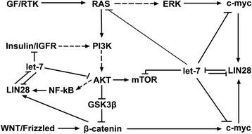 https://cdn.ncbi.nlm.nih.gov/pmc/blobs/a45f/4512107/84f30ae1e3b4/12943_2015_402_Fig5_HTML.jpg