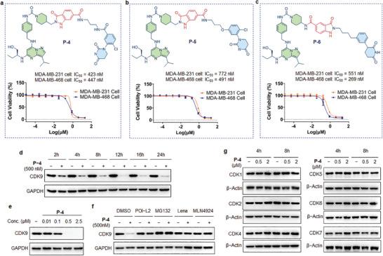https://cdn.ncbi.nlm.nih.gov/pmc/blobs/a462/11234393/79e015ab61d1/ADVS-11-2400594-g005.jpg