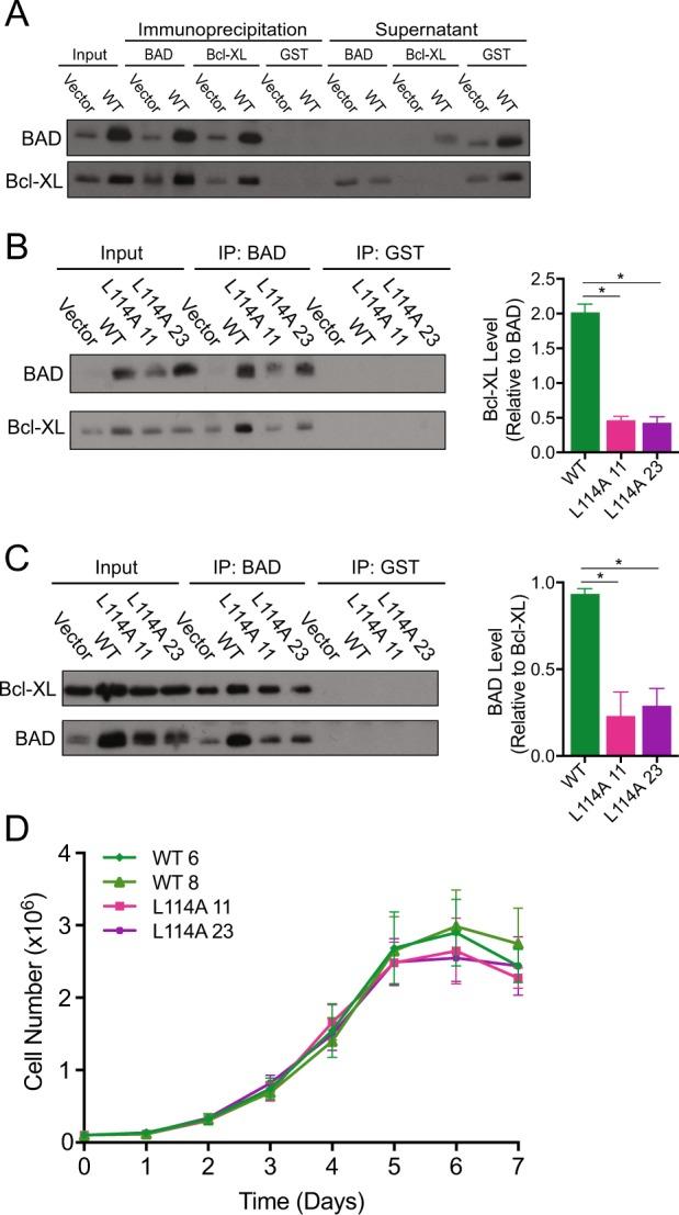 https://cdn.ncbi.nlm.nih.gov/pmc/blobs/a463/6756016/e6173edd0ef8/41388_2018_673_Fig5_HTML.jpg
